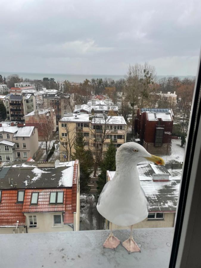 Apartament Karlikowska z widokiem na morze Sopot Zewnętrze zdjęcie