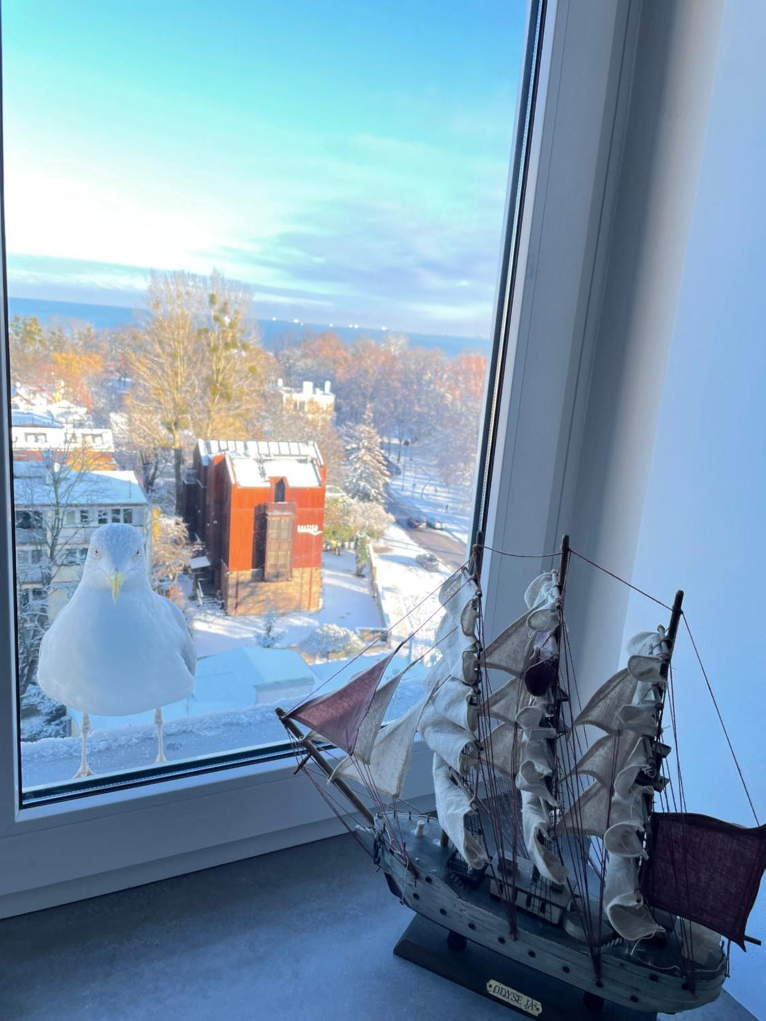 Apartament Karlikowska z widokiem na morze Sopot Zewnętrze zdjęcie